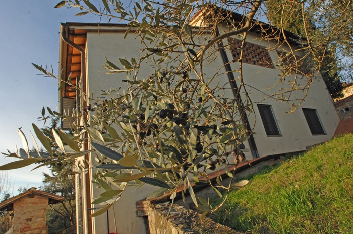 AZ. AGR. I POGGI DI GONNELLI GIULIO — foto 3